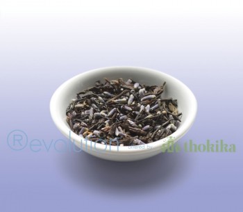 Revolution Tee - Earl Grey Lavendel Tea - Gastro "foliert"
