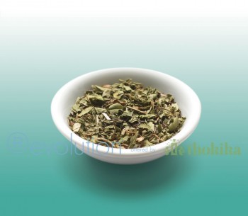 MHD 07-2023 / Revolution Tee - Southern Mint Herbal Tea - Koffeinfrei